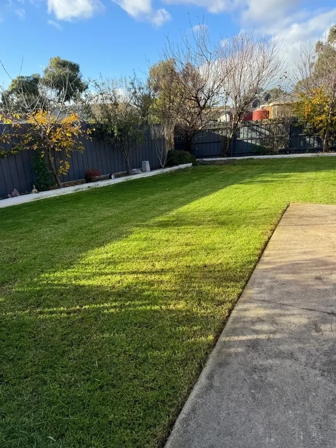 Front Lawn Clean Cut & Edge Finish - Professional garden maintenance by Green Rise Group