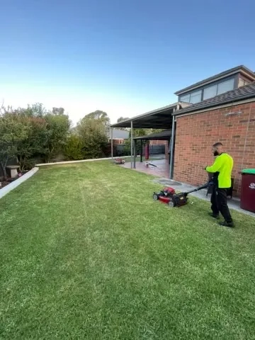 Backyard Lawn Revitalisation - Professional garden maintenance by Green Rise Group