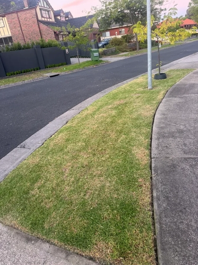 Curb & Path Edge Definition - Professional garden maintenance by Green Rise Group