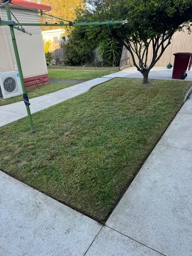 Detail Work Around Trees & Garden Beds - Professional garden maintenance by Green Rise Group