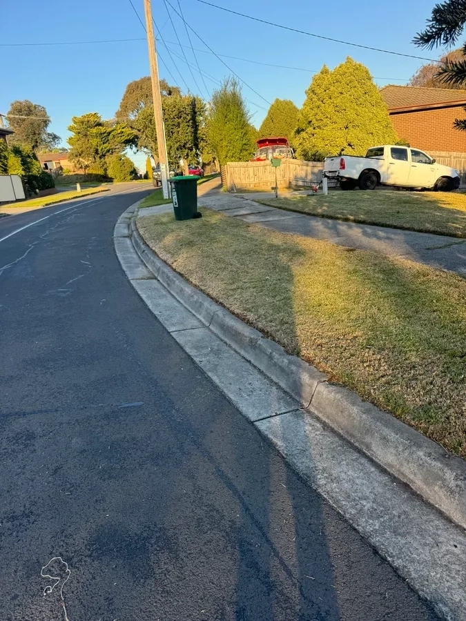 Curved Lawn Edge Precision - Professional garden maintenance by Green Rise Group