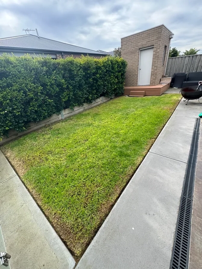Garden Bed & Lawn Refresh - Professional garden maintenance by Green Rise Group